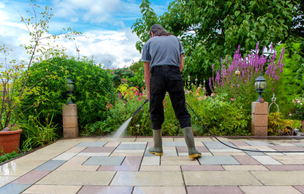 Best Dumpster Area Cleaning  in Orchard City, CO